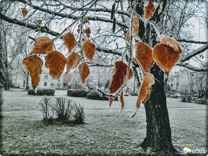 Kiskunmajsa