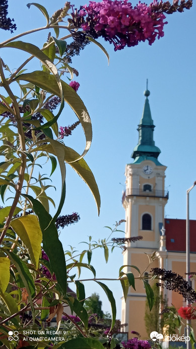 Kiskunmajsa