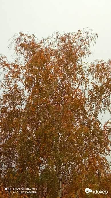 Kiskunmajsa