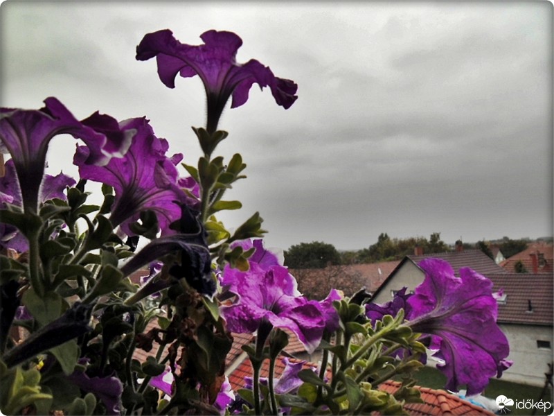 Kiskunmajsa