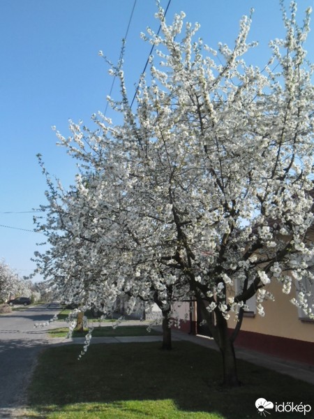 Kiskunmajsa