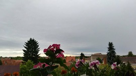 Kiskunmajsa