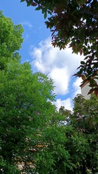 Kiskunmajsa