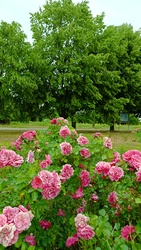 Kiskunmajsa
