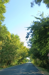 Kiskunmajsa
