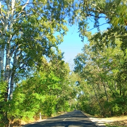 Kiskunmajsa