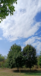 Kiskunmajsa