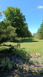 Kiskunmajsa