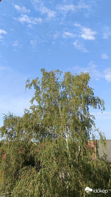Kiskunmajsa
