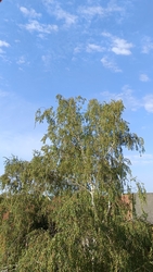 Kiskunmajsa