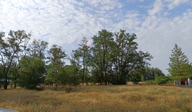 Kiskunmajsa