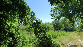 Kiskunmajsa