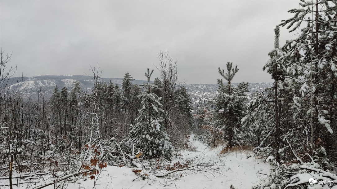 Téli panoráma