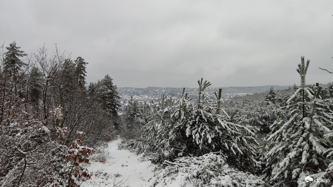 Téli panoráma