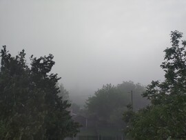 Tiszavárkony