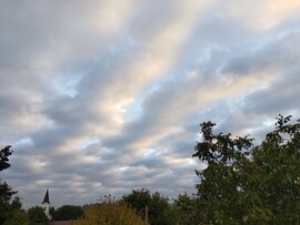 Tiszavárkony