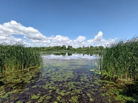 Tiszaszőlős