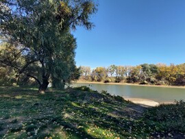 Tiszavárkony
