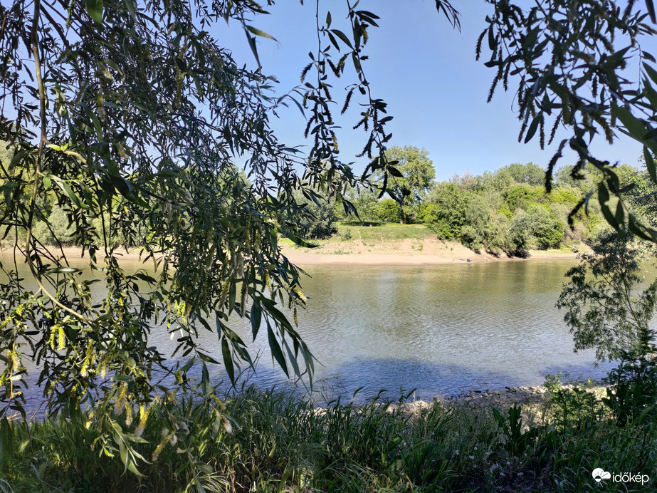 Tiszavárkony