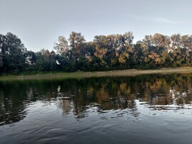 Tiszavárkony