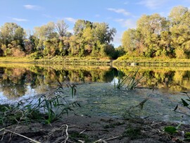 Tiszavárkony