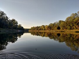Tiszavárkony