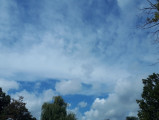 Tiszakécske
