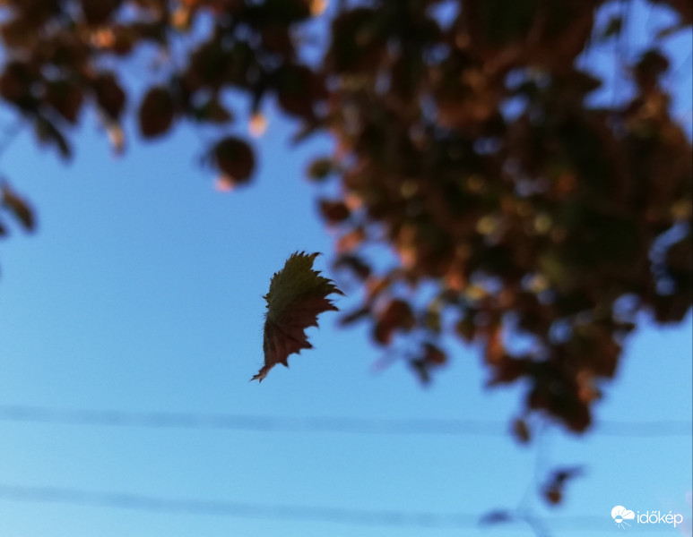 Pók-trükk
