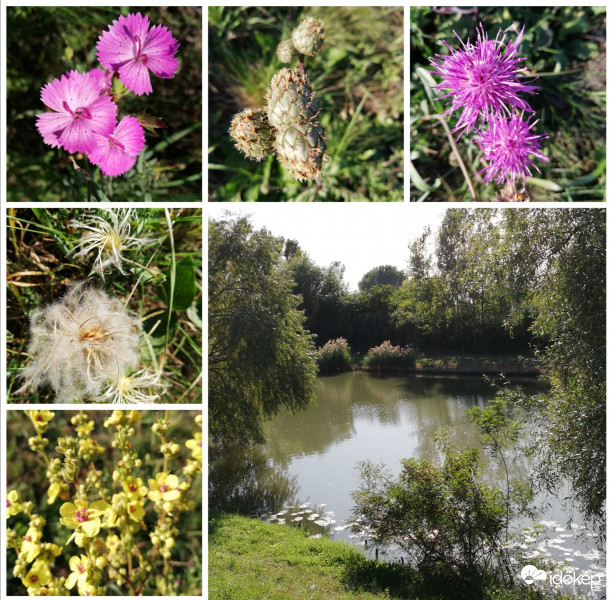 Tarna-part " kincsei" 