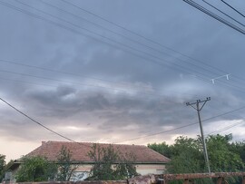 Szarvas