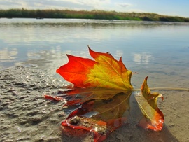Balatonboglár 