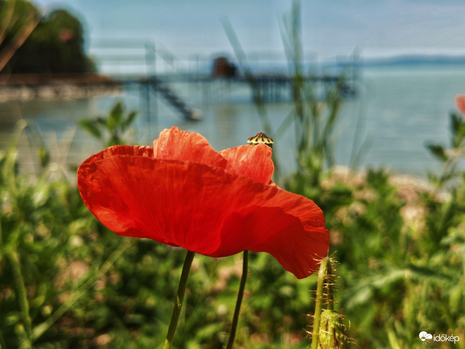 Balatonszárszó 