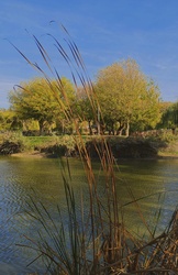 Balatonszemes 