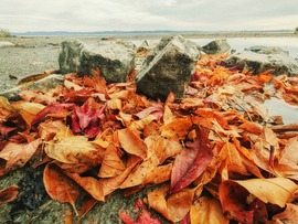 Balatonszemes 