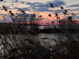 Balatonmáriafürdő
