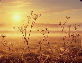 Balatonlelle 