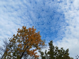 Balatonboglár 
