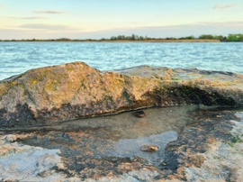 Balatonmáriafürdő