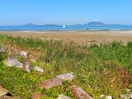 Balatonfenyves 