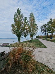 Balatonboglár 