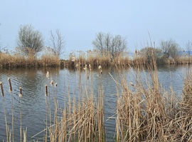 Balatonmáriafürdő