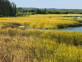 Szántód