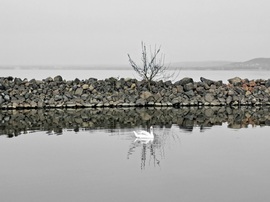 Balatonmáriafürdő