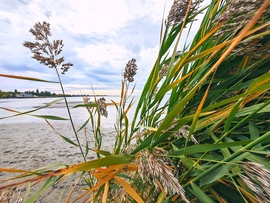 Balatonszemes 
