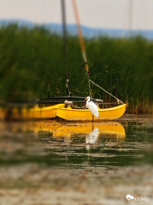 Balatonboglár 
