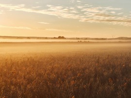 Balatonlelle 