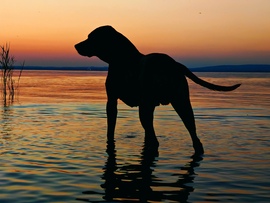 Balatonberény 