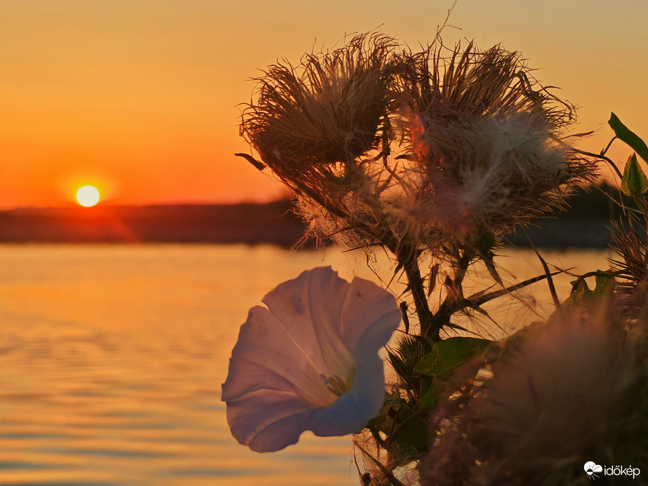 Balatonszemes 