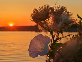 Balatonszemes 