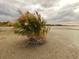 Balatonszemes 